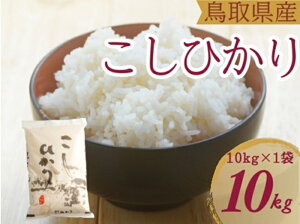 yӂ邳Ɣ[Łz Ђ10kg 挧Y   RVqJ ߘa7NY  1053