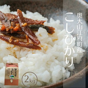 yӂ邳Ɣ[Łz RVqJ 2kg ʍ͔| 挧]{Y Ђ  Yn  ߘa7NY 2L 0930