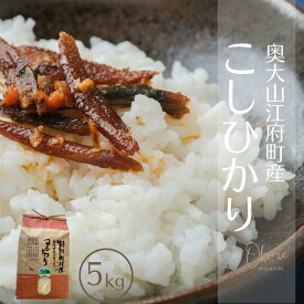 【ふるさと納税】お米 コシヒカリ 5kg 特別栽培米 鳥取県江府町産 こしひかり 精米 産地直送 令和7年産 5キロ 0931