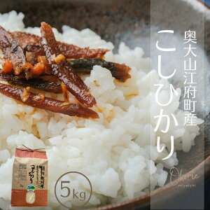 yӂ邳Ɣ[Łz RVqJ 5kg ʍ͔| 挧]{Y Ђ  Yn ߘa7NY 5L 0931