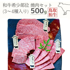 yӂ邳Ɣ[Łza󏭕ʏēZbg v500g 3`4 挧Y nt@[R] MK1 0992