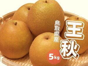 �y�ӂ邳�Ɣ[�Łz ���H�� 5kg ���挧�Y ��s�\���t�i10�����{�`10�����{�������j�������イ �i�V �Ȃ� 5�L�� �ʕ� JA�Ďq�E�����ݑI�ʏ� 0612