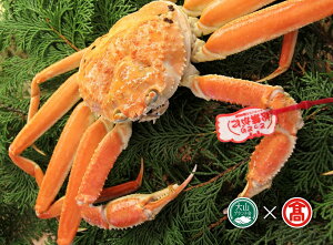 yӂ邳Ɣ[Łz䥂ŏtɖ1.1kg×1 iRuhjI  Jj Ďq 116-BI1 0894