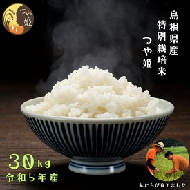 【ふるさと納税】【精米】感動米 特別栽培米つや姫 30kg 《134-03》