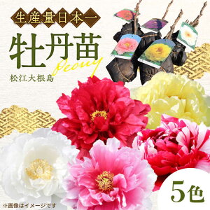 yӂ邳Ɣ[Łz]卪Oc(5FZbg) ]s/_Ƌgɂтn{[ALBC001]b {^ ڂ  A A 蕨  K[fjO ϗtA c | N 