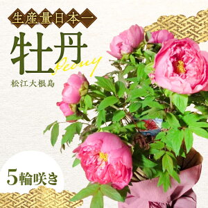yӂ邳Ɣ[Łz]卪O(ڂ) 5֍炫 ]s/_Ƌgɂтn{[ALBC003]b {^ ڂ  A A 蕨  K[fjO ϗtA c | 
