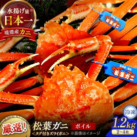 【ふるさと納税】急速冷凍で旨みをぎゅっと閉じ込めた！松葉がにボイル姿1.2kg以上(2〜4枚) 島根県松江市/中浦食品株式会社[ALBO003]｜ カニ かに 松葉ガニ 松葉がに 松葉蟹 蟹 冷凍 お取り寄せ 高級 ギフト 年内