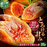 【ふるさと納税】東出雲の畑ほし柿 25個入り 55g×25個 松江 東出雲 柿 干し柿 GIマーク 本場の本物 農産品《076-02》