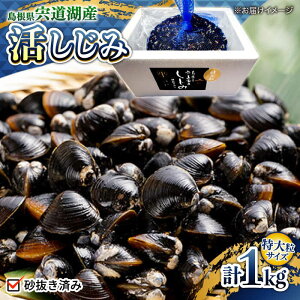 �y�ӂ邳�Ɣ[�Łz�V�W�~ �V�N�̂ꂽ�āI�����ΎY����a�����ݓ��嗱1kg(���͂��ς�) ���������]�s/����ʋl�L�����[ALBZ022]�b ������ �V�W�~ � �����ݏ` ���X�` �݂��` ������ ���񂶌� ��