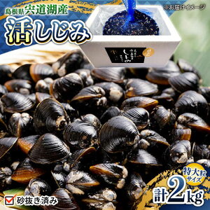 �y�ӂ邳�Ɣ[�Łz�V�W�~ �V�N�̂ꂽ�āI�����ΎY����a�����ݓ��嗱 2kg (���͂��ς�) ���������]�s/����ʋl�L�����[ALBZ023]�b ������ �V�W�~ � �����ݏ` ���X�` �݂��` ������ ���񂶌� ��