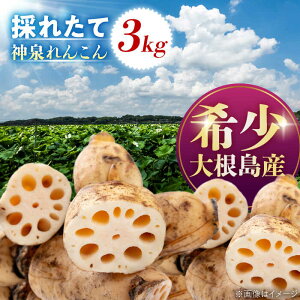 yӂ邳Ɣ[Łzyʌ50ẑx肽 卪Y_񂱂 3kg ]s/Ђӂ[ޑ卪[ALCB005]b 񂱂 R @ @肽 ق肽    H 