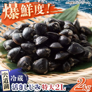yӂ邳Ɣ[ŁzNxQ̋Mdȓ嗱IΎY2LTCY2kg(NEρE) ]s/LГ{čX[ALCG009]b  VW~  a 嗱  Ⓚ