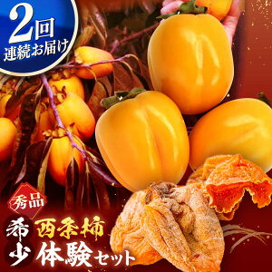 yӂ邳Ɣ[Łzys\zyS2ցz`̑̌ZbgI 킹`6 邵`Zbg5kg ]s/}J~_ [ALCM016] b ` ` ` JL  H t[c ʕ 