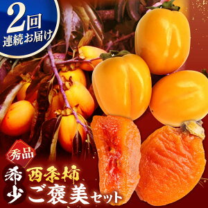 yӂ邳Ɣ[Łzys\zyS2ցz`̂JZbgI 킹` 2kg `SHUKU8 ]s/}J~_ [ALCM018] b ` ` ` JL  H t[c ʕ XC