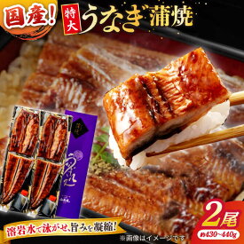【ふるさと納税】【年内発送】【お歳暮対象】うなぎ うなぎ老舗専門店のパリっとふっくら国産うなぎ 蒲焼2尾(蒲焼のタレ付き) 島根県松江市/株式会社山美世商会[ALDC001]｜ 国産 うなぎ ウナギ 鰻 蒲焼き 蒲焼 国産 冷凍 うな重 ひつまぶし 丑の日 人気 35,000円