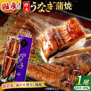 yӂ邳Ɣ[ŁzȂVܐX̃pƂӂ獑YȂ 1(Ẵ^t) ]s/ЎR[ALDC003]b Y Ȃ EiM V Ă  Y Ⓚ ȏd 