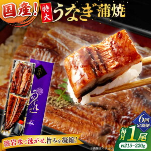 �y�ӂ邳�Ɣ[�Łz�y6�����ցz���Ȃ��V�ܐ��X�̃p�����Ƃӂ����獑�Y���Ȃ� ����1��(���Ẵ^���t��) ���������]�s/������ЎR��������[ALDC008]