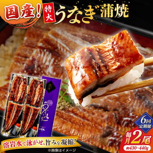 �y�ӂ邳�Ɣ[�Łz�y6�����ցz���Ȃ��V�ܐ��X�̃p�����Ƃӂ����獑�Y���Ȃ� ����2��(���Ẵ^���t��) ���������]�s/������ЎR��������[ALDC014]