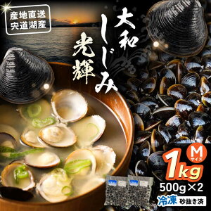 yӂ邳Ɣ[ŁzYnIΎY ⓀaMTCY1kg(500g×2)  ]s/肷matsue[ALDE005]b  VW~  ݏ` X` ݂`  񂶌  