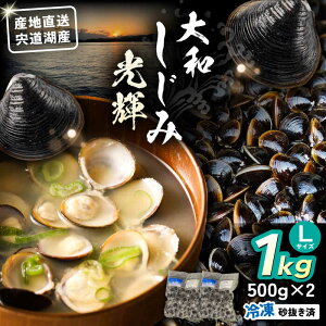 yӂ邳Ɣ[ŁzYnIΎY ⓀaLTCY1kg(500g×2)  ]s/肷matsue[ALDE006]b  VW~  ݏ` X` ݂`  񂶌  