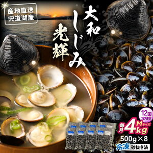 �y�ӂ邳�Ɣ[�Łz�y�S12�����ցz�Y�n�����I�����ΎY �Ⓚ��a������M�T�C�Y4kg(500g×8) ������������ ���������]�s/�肷����matsue[ALDE015]