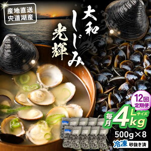 �y�ӂ邳�Ɣ[�Łz�y�S12�����ցz�Y�n�����I�����ΎY �Ⓚ��a������L�T�C�Y4kg(500g×8) ������������ ���������]�s/�肷����matsue[ALDE018]