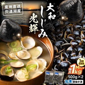 【ふるさと納税】【全3回定期便】産地直送！宍道湖産 冷凍大和しじみMサイズ1kg(500g×2) 砂抜き処理済 島根県松江市/りすたむmatsue[ALDE019]