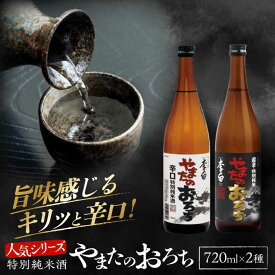 【ふるさと納税】日本酒 食事を格上げする一杯！ 李白【特別純米】やまたのおろち 辛口2本セット 島根県松江市/李白酒造有限会社[ALDF002]｜ 日本酒 お酒 酒 地酒 飲み比べ やまたのおろち 辛口 超辛口 李白酒造 地酒 セット 詰め合わせ 贈り物 ギフト 島根 松江 人気