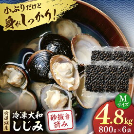 【ふるさと納税】宍道湖産 冷凍大和しじみ 砂抜き済 Mサイズ800g×6袋(4.8kg) 島根県松江市/しじみ市場株式会社[ALDK001]｜シジミ 貝 簡単 お手軽 しじみ汁