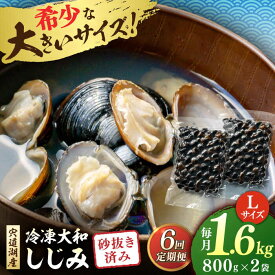【ふるさと納税】【全6回定期便】しじみ 宍道湖産 冷凍大和しじみ 砂抜き済 Lサイズ800×2袋(1.6kg) 島根県松江市/しじみ市場株式会社[ALDK007]｜しじみ シジミ 蜆 貝 魚貝類 魚介類 海鮮 簡単 お手軽 砂抜き しじみ汁 大和しじみ 宍道湖 冷凍 味噌汁 お吸い物 料理 65,000円