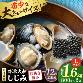 【ふるさと納税】【全12回定期便】しじみ 宍道湖産 冷凍大和しじみ 砂抜き済 Lサイズ800×2袋(1.6kg) 島根県松江市/しじみ市場株式会社[ALDK008]｜ しじみ シジミ 蜆 貝 魚貝類 魚介類 海鮮 簡単 お手軽 砂抜き しじみ汁 大和しじみ 宍道湖 冷凍 味噌汁 お吸い物 料理 13万円