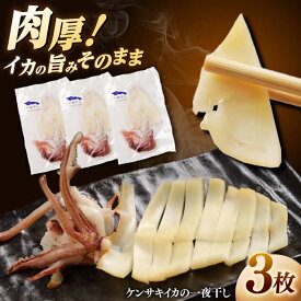 【ふるさと納税】イカ 白イカ(ケンサキイカ)の一夜干し3枚 島根県松江市/海ひこ株式会社[ALDY006]｜ 白イカ 一夜干し 3枚 ケンサキイカ イカ お取り寄せ 魚介 冷凍 焼きイカ おつまみ 酒の肴 魚介類 干物 取り寄せ 国産 高級 真空パック セット 簡単調理 白いか 海産物