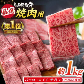 【ふるさと納税】和牛 極上厳選！受賞歴多数 しまね和牛 焼肉 1.0kg 島根県松江市/株式会社O.R.C[ALEF002]｜ しまね和牛 和牛 国産 牛肉 肉 国産牛 ブランド牛 霜降り お取り寄せ 焼肉 島根 松江 ふるさと納税