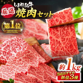 【ふるさと納税】和牛 極上厳選！受賞歴多数 しまね和牛 焼肉セット 部位3種(1kg) 島根県松江市/株式会社O.R.C[ALEF003]｜ しまね和牛 和牛 国産 牛肉 肉 黒毛和牛 高級 国産牛 最高級 ブランド牛 霜降り お取り寄せ 焼肉 ギフト 贈り物 贈答 プレゼント 島根 松江