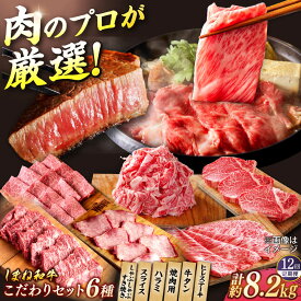 【ふるさと納税】【全12回定期便】叉鬼の焼肉酒場 豪華特別セット！（ハラミ・牛タン・厳選焼肉・スライス・しゃぶしゃぶ/すき焼き・ヒレステーキ）計8.2kg　島根県松江市/株式会社O.R.C[ALEF014]｜しまね和牛 牛肉 肉 焼肉 和牛 国産牛 冷凍