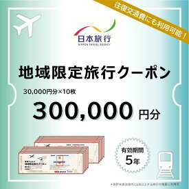 【ふるさと納税】島根県松江市 日本旅行 地域限定旅行クーポン 300,000円分 島根県松江市/株式会社日本旅行[ALGD006]