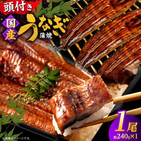【ふるさと納税】鰻 国産うなぎの蒲焼×1尾（頭付き）鰻 ウナギ かば焼き 島根県松江市/うなぎの源内[ALHE001]｜ 国産 うなぎ 鰻 ウナギ 有頭 蒲焼き 蒲焼 直送 高級 厳選 お取り寄せ グルメ 土用の丑の日 簡単 レンジ調理 米 お米 飯 ご飯 と うな丼 うな重