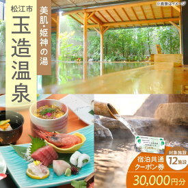 【ふるさと納税】玉造温泉 共通クーポン券 寄附額 10万円 30000円分クーポン 島根県松江市/玉造温泉旅館協同組合[ALHN002]｜クーポン 宿泊クーポン 観光 旅行券 ギフト 贈答 高級 温泉 島根 松江 宿泊 ホテル 旅館 100000円