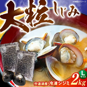 yӂ邳Ɣ[Łz嗱IΎYⓀVW~LTCY2kg/ЎRHi[ALHZ002]