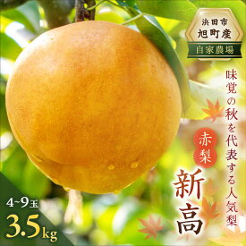 【ふるさと納税】【終了間近！9月末まで】【先行予約】浜田市旭町産赤梨 3.5kg（新高）4〜9玉＜10月中旬から発送開始予定＞ 梨 新高 ナシ 和梨 果物 フルーツ くだもの 先行予約 ふるさと納税 梨【002_1961】