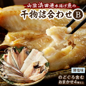 【ふるさと納税】浜田港水揚げ魚の薄塩味干物B（のどぐろを含む） 魚介類 魚貝類 無添加 薄塩味 干物 干もの 一夜干し セット 人気 お取り寄せ 【964】