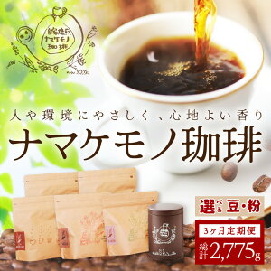 yӂ邳Ɣ[ŁzX[ȕlci925g×3̒ցj  3 R[q[ R[X  hbv     y023_1912z