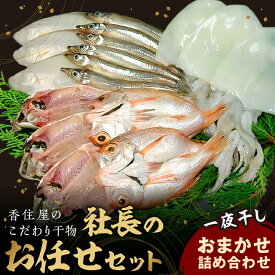 【ふるさと納税】山陰浜田 香住屋のこだわり干物「社長のお任せセット」 魚介類 魚貝類 魚 干物 一夜干し セット 詰め合わせ ギフト 贈り物 【024_1988】