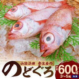 【ふるさと納税】山陰浜田 香住屋の「のどぐろ」煮付け・塩焼き用（3～5尾・600g） のどぐろ 煮付け 塩焼き 下処理済 特産品 おすすめ 海鮮 【107】