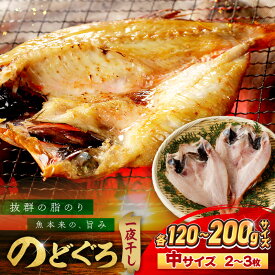 【ふるさと納税】【テレビで紹介されました】のどぐろ一夜干し個包装2〜3枚「中型サイズ120〜200gサイズ」 魚 魚介類 のどぐろ 一夜干し 干もの のどぐろ 個包装 【005_2085】