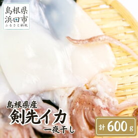 【ふるさと納税】島根県産剣先イカ一夜干し　計600g（4～6枚）個包装・真空袋・ギフト 真空 個包装 訳あり 干物 白イカ 保存料不使用 大容量 剣先イカ 一夜干し 【1781】