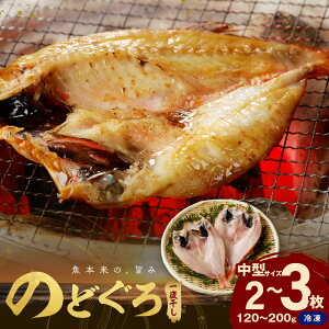 yӂ邳Ɣ[Łzyr[CPΏہzyerŏЉ܂ẑǂ銱2`3u^TCY120`200gTCYv   ̂ǂ 銱  ̂ǂ  y005_0127