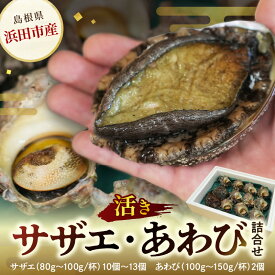 【ふるさと納税】【レビューCP対象】豪華サザエ・あわび詰合せ【本田商店】 海鮮 貝 ふるさと納税 サザエ ふるさと納税 あわび 鮑 詰め合わせ セット BBQ バーベキュー 【033_1775】