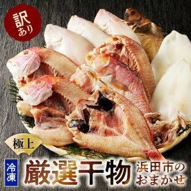 【ふるさと納税】極上!!干物屋推薦 厳選干物 訳あり商品が入ってます!! 魚介類 セット 干物 乾物 ふるさと納税 訳あり 海の幸 魚介類 魚貝類 干物 一夜干し 干物セット【033_1776】