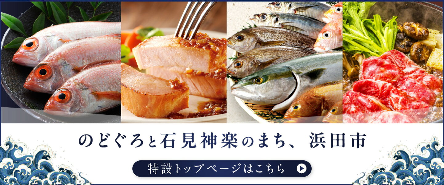 ふるさと納税 浜田市 【さとふる限定】山陰浜田産厳選笹カレイ干物2kg(20